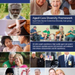 Partners in Culturally Appropriate Care